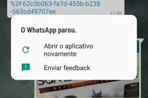 bug no whatsapp